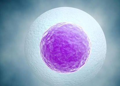 温州三代试管婴儿一般需要多少钱？揭秘影响费用因素