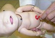 2026福建试管婴儿医院导航，怀孕成功率排名参考指南