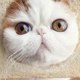 在安徽做二代试管男性时如何取精的？