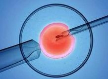 南阳市中心医院做三代试管成功率如何？一文读懂需要花多少钱