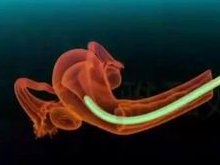 2026国内优秀试管婴儿生殖医院排名10？