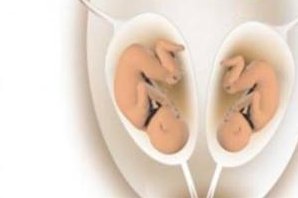 男性脑梗塞做试管有影响吗？